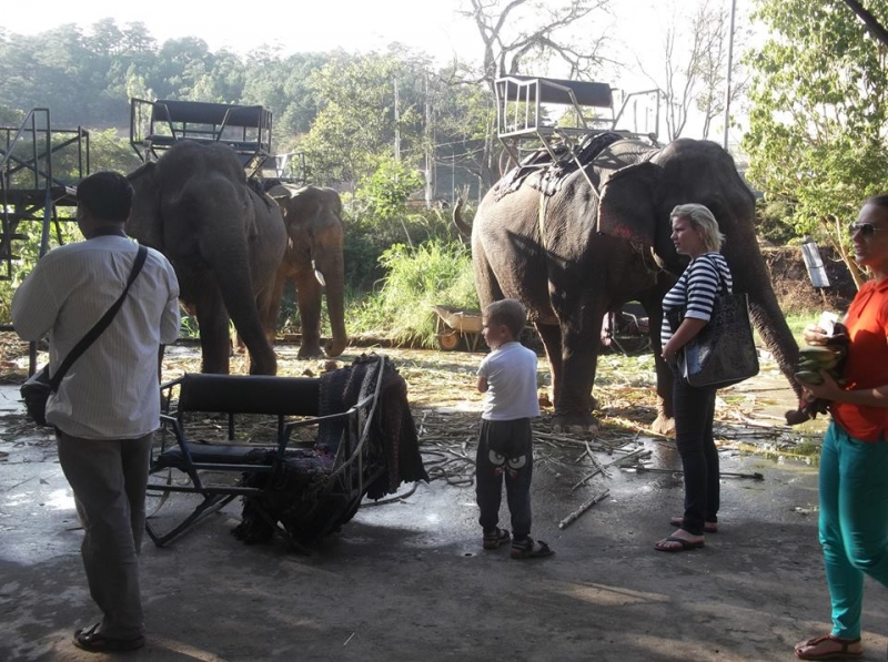 водопад Pren В Далат