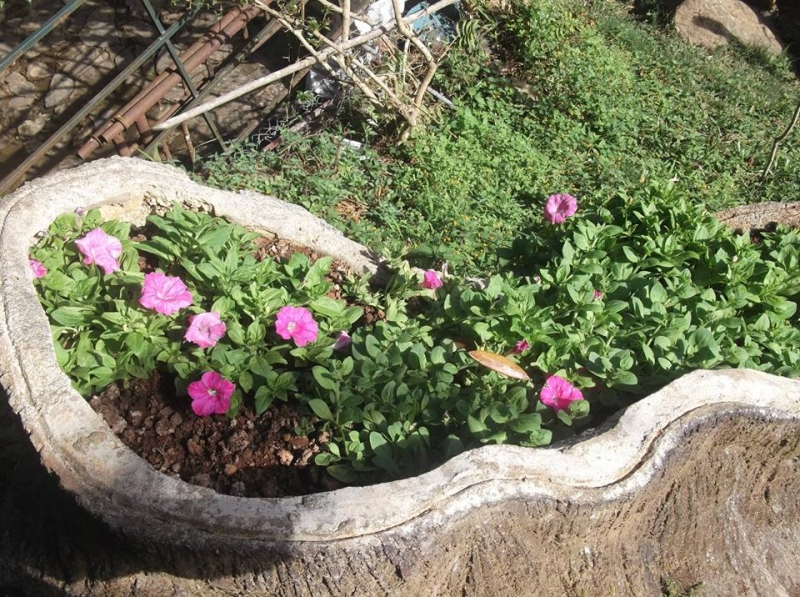 Водапад Datanla в Далат