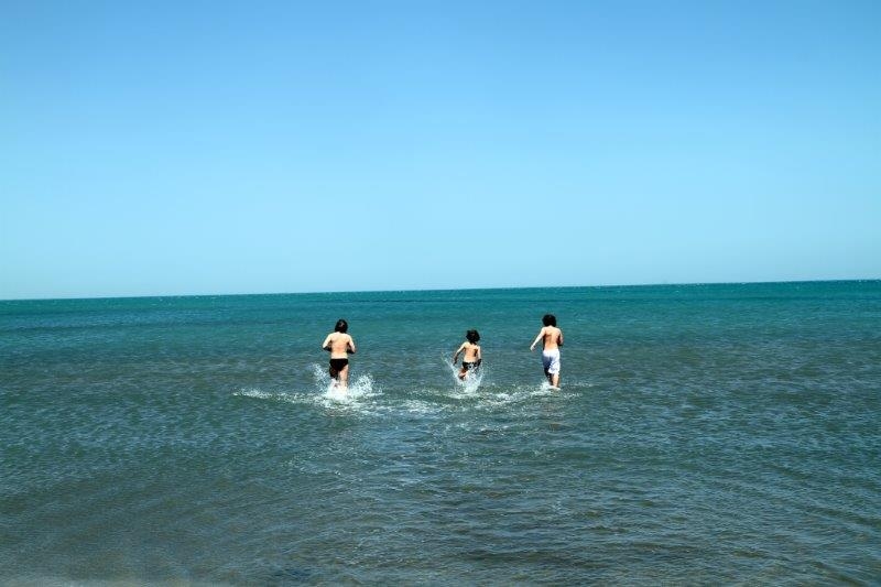 Весна: Сванетия+Тблилиси+Баку(поезд, бюджетно)