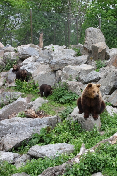 Автопутешествие по югу Норвегии июнь 2013