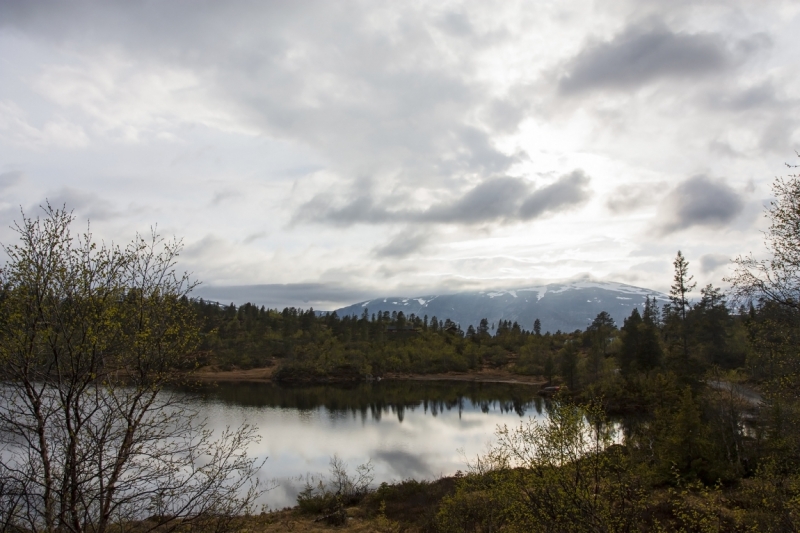 Автопутешествие по югу Норвегии июнь 2013