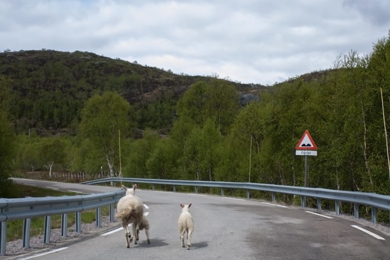Автопутешествие по югу Норвегии июнь 2013