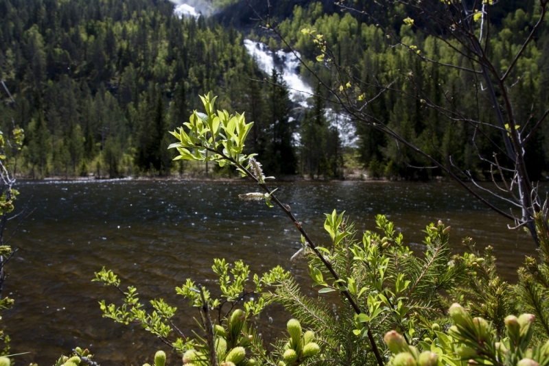 Автопутешествие по югу Норвегии июнь 2013
