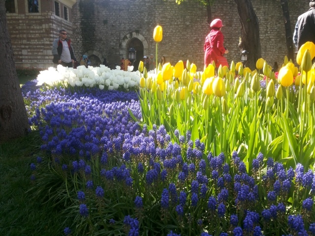 Стамбул!  Каким  его увидели  мы! Апрель  2014