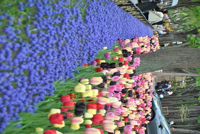 Стамбул!  Каким  его увидели  мы! Апрель  2014