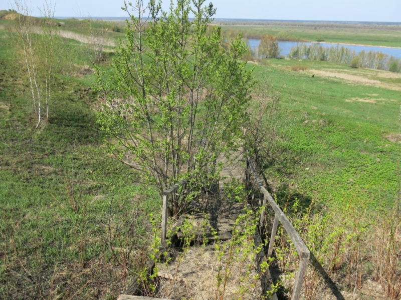 Рязань - Константиново - Пощупово (26-27.04.2014)