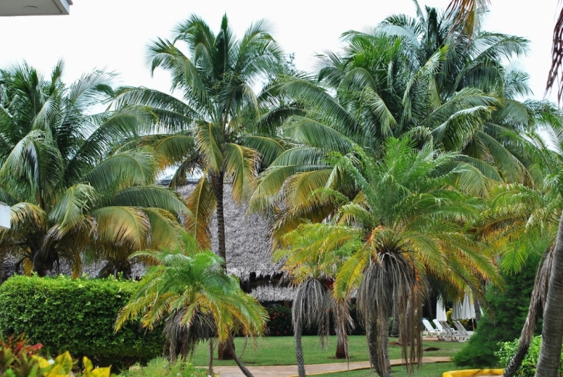 Cuba. Душа важнее внешности. Или как не умереть от скуки на пляжах Варадеро.