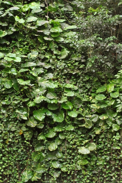 Cuba. Душа важнее внешности. Или как не умереть от скуки на пляжах Варадеро.