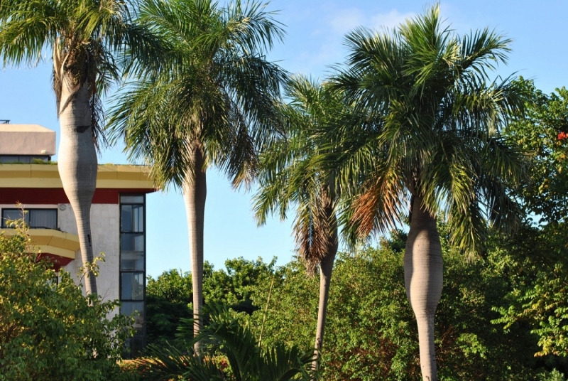 Cuba. Душа важнее внешности. Или как не умереть от скуки на пляжах Варадеро.