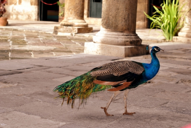 Cuba. Душа важнее внешности. Или как не умереть от скуки на пляжах Варадеро.
