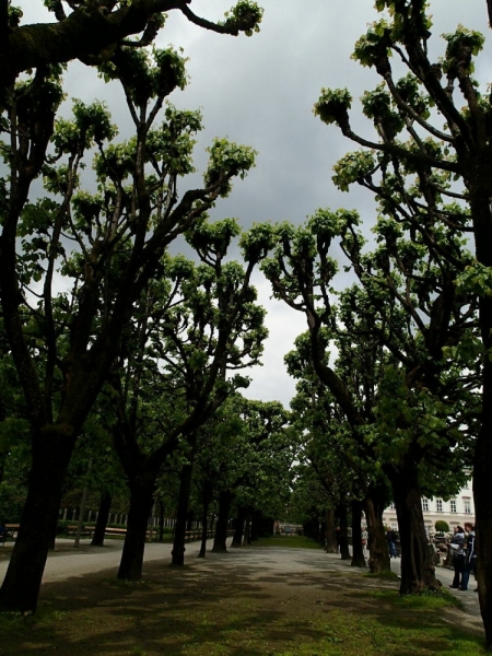 Дороги, тропы: куда они нас ведут - тут фотоответ
