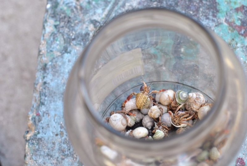 Cuba. Душа важнее внешности. Или как не умереть от скуки на пляжах Варадеро.