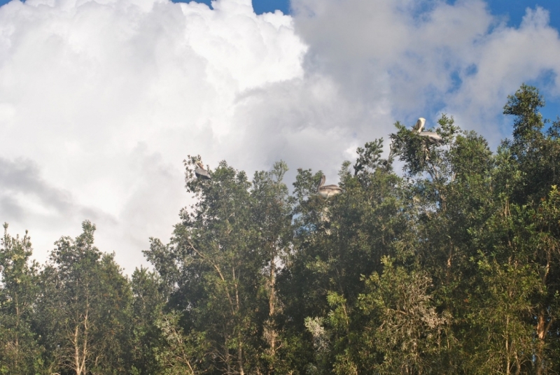 Cuba. Душа важнее внешности. Или как не умереть от скуки на пляжах Варадеро.