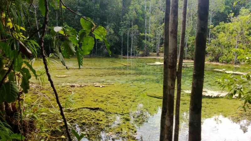 Банкок-Краби. Банкок-Канчанабури-Аюттая-Краби