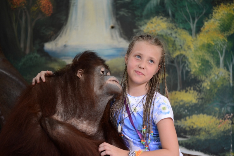 Пхукет. Январь 2014