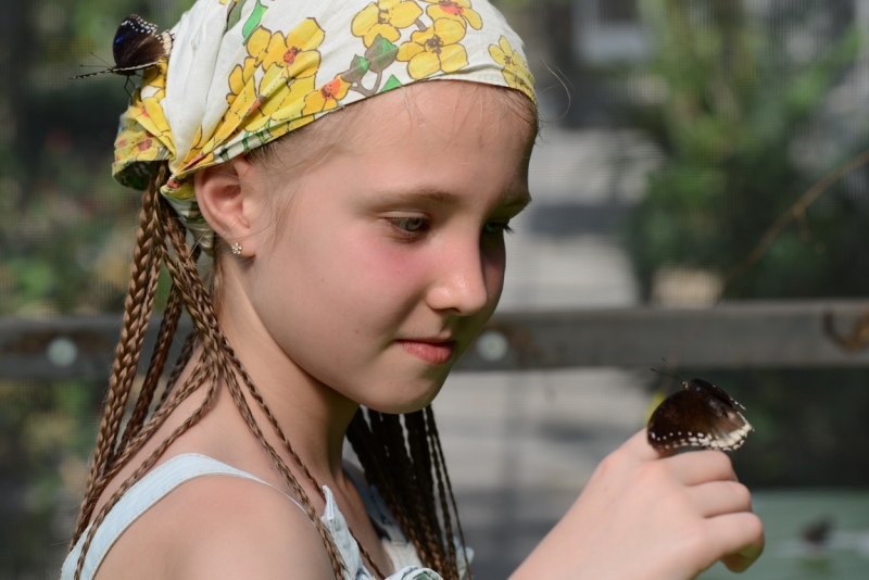 Пхукет. Январь 2014