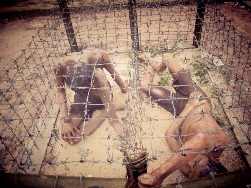 Тюрьма кокосовой пальмы