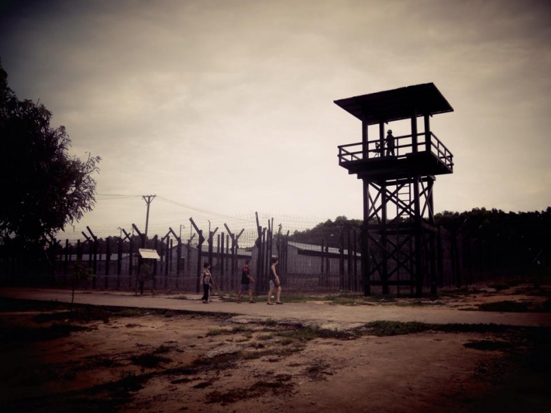 Тюрьма кокосовой пальмы