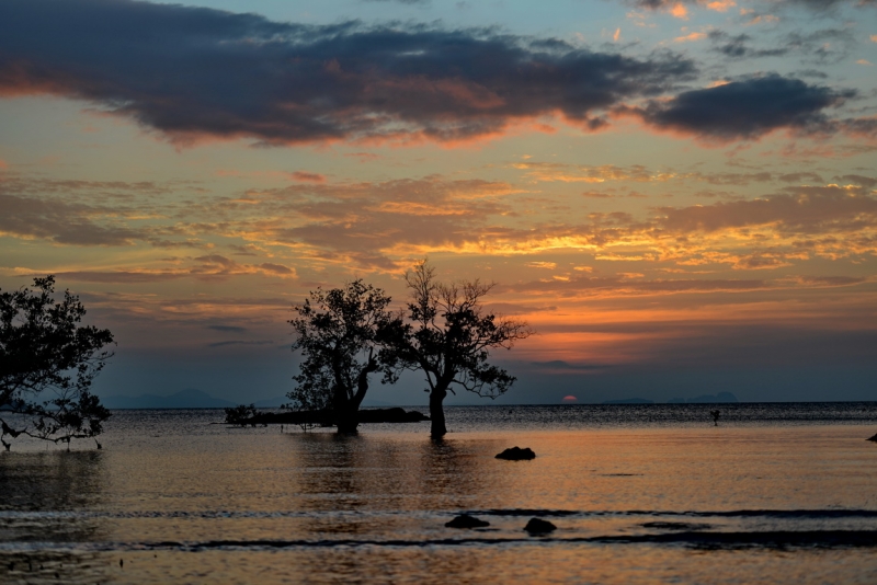 Острова Краби. Январь 2014.