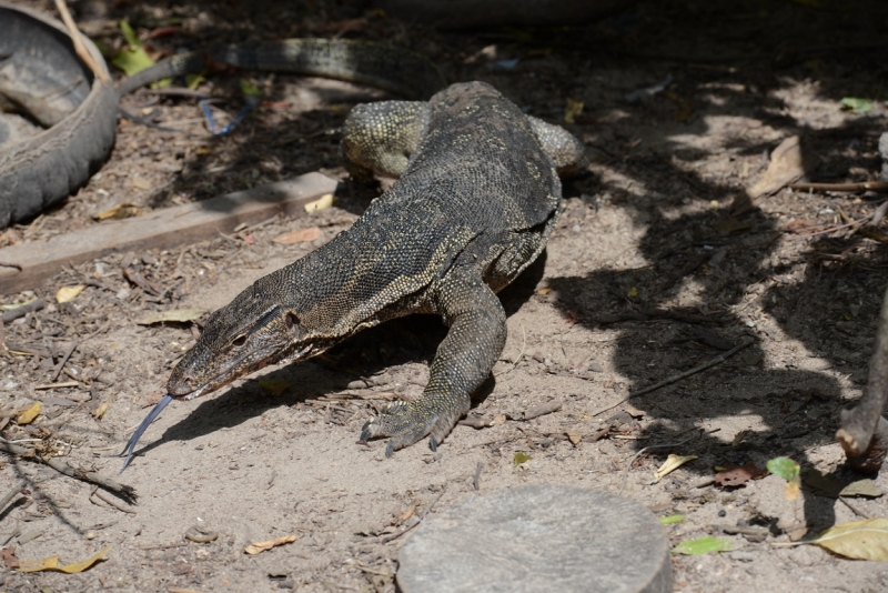 Острова Краби. Январь 2014.