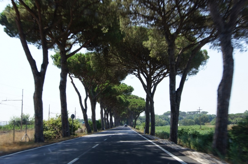 Путешествие в Европу на автомобиле Мазда