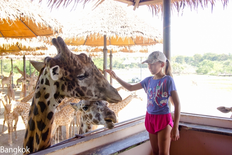 Парки развлечений в Бангкоке Dream World, Safari World, Siam-park