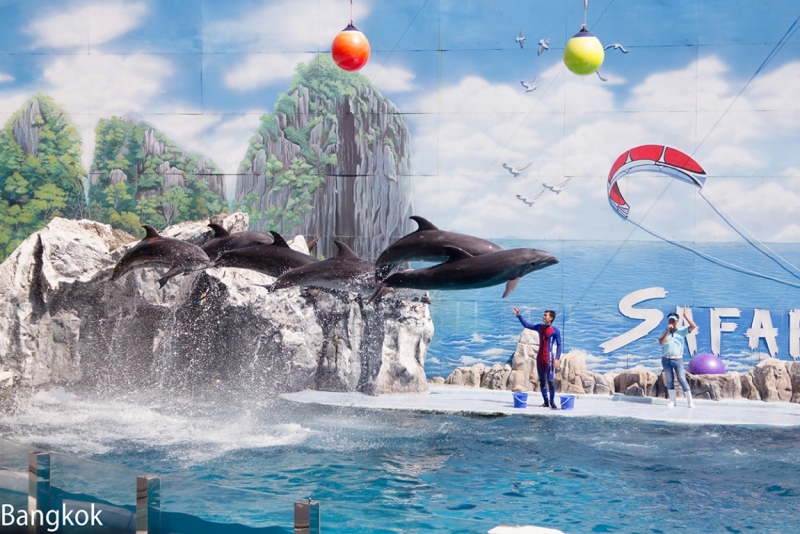 Парки развлечений в Бангкоке Dream World, Safari World, Siam-park