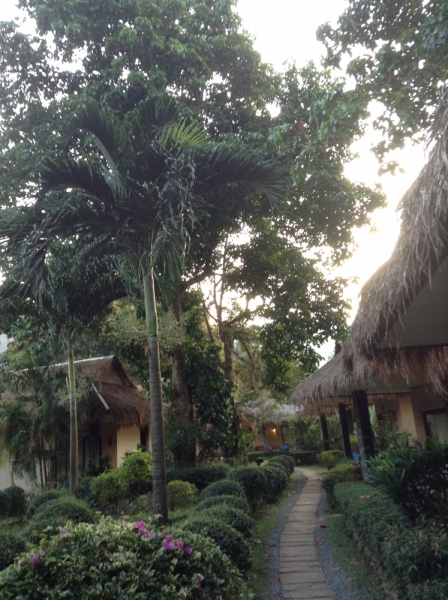 Таиланд. Ко Чанг. 3 дня в январе 2014-го. Фотоотчет с деталями.