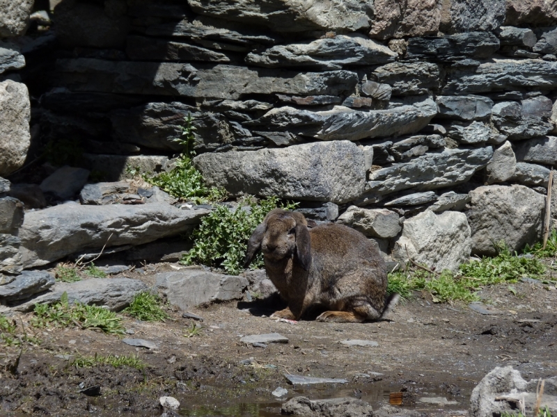 Алкотур 5/2. Грузия из Украины 24.04-03.05.2014