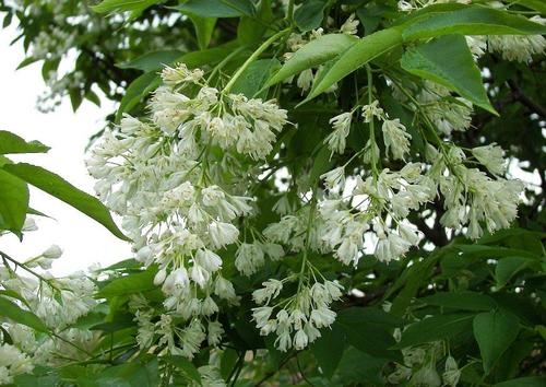 Алкотур 5/2. Грузия из Украины 24.04-03.05.2014