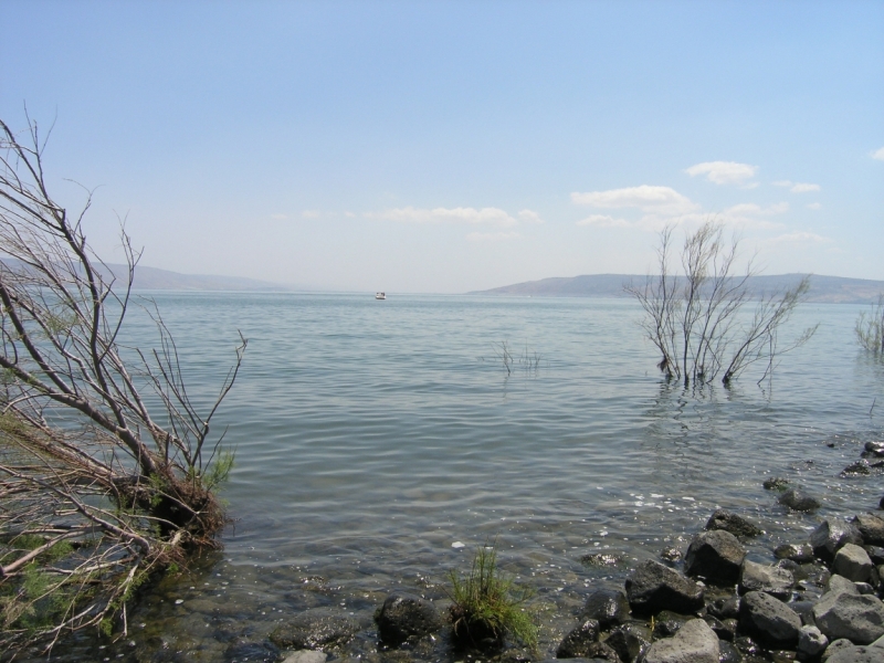 Израиль в мае полу-самостоятельно