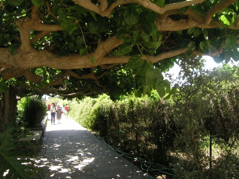 Израиль в мае полу-самостоятельно