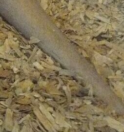 Фотозагадки - 2014