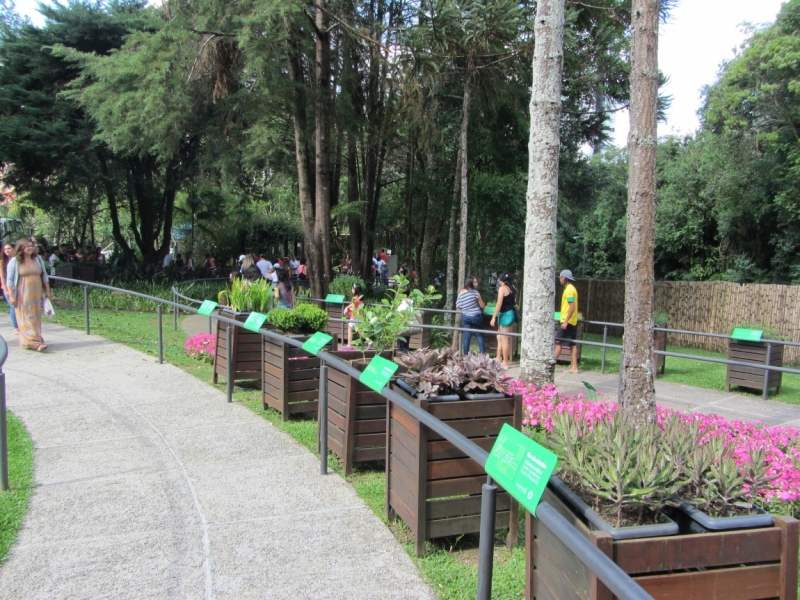 Curitiba-Ilha do Mel. Ноябрь 2013