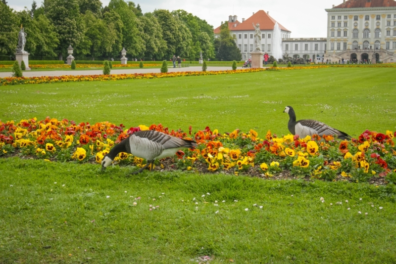 Мюнхен замки Баварии отзывы