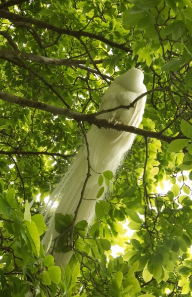 Мюнхен замки Баварии отзывы