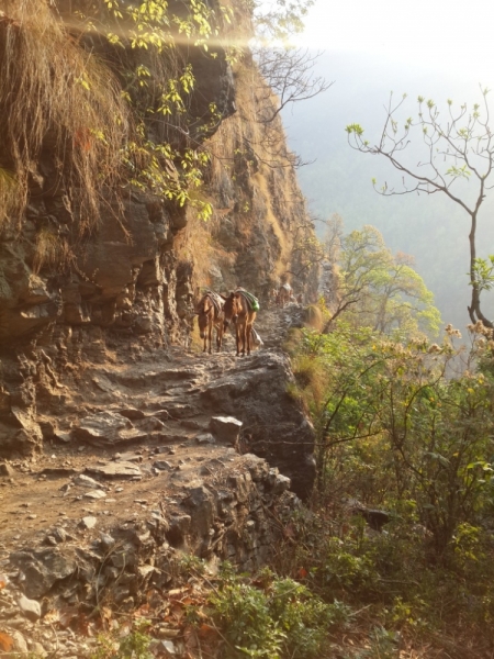 Манаслу трек с заходом в долину Цум (2014), или не оконченное дело.