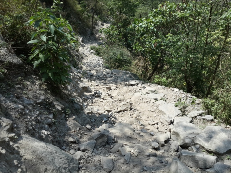 Манаслу трек с заходом в долину Цум (2014), или не оконченное дело.