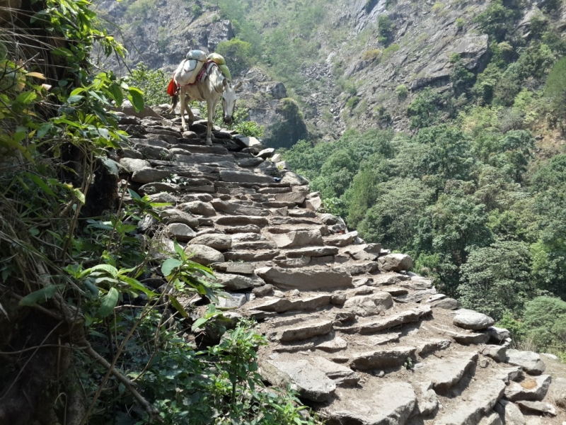 Манаслу трек с заходом в долину Цум (2014), или не оконченное дело.