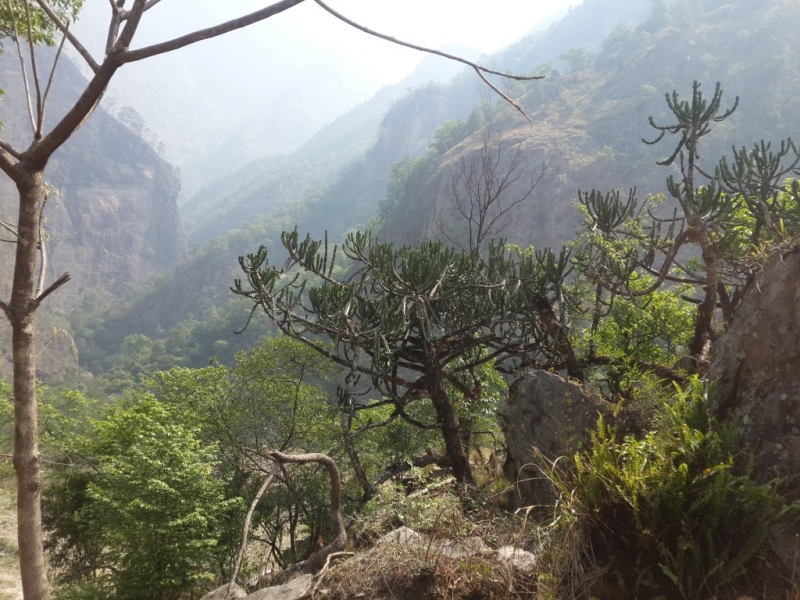 Манаслу трек с заходом в долину Цум (2014), или не оконченное дело.