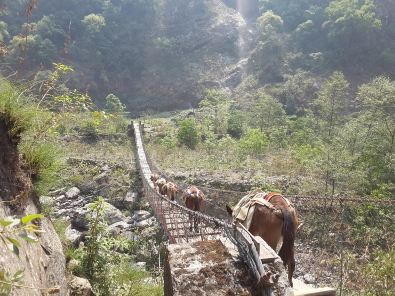 Манаслу трек с заходом в долину Цум (2014), или не оконченное дело.