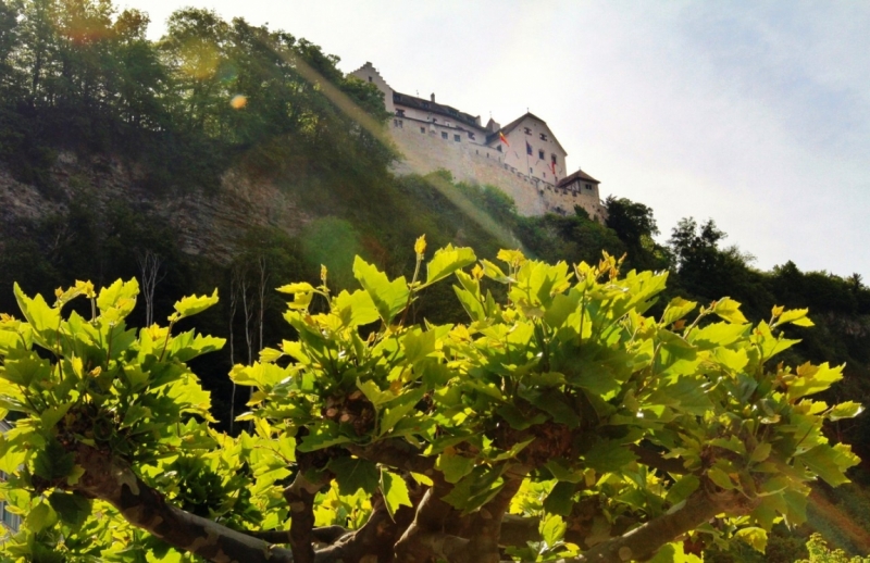 Мюнхен замки Баварии отзывы