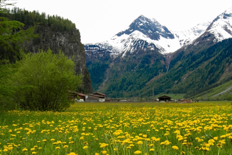 Мюнхен замки Баварии отзывы