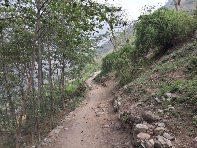 Манаслу трек с заходом в долину Цум (2014), или не оконченное дело.