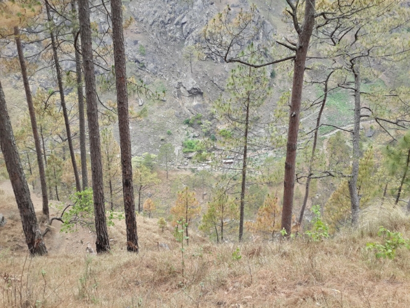 Манаслу трек с заходом в долину Цум (2014), или не оконченное дело.