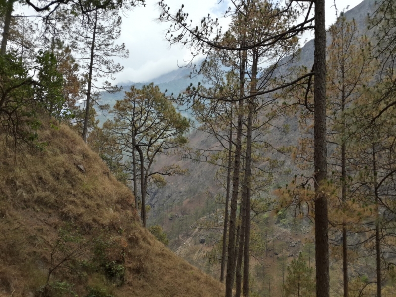 Манаслу трек с заходом в долину Цум (2014), или не оконченное дело.