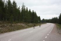 IMG_5278_новый размер