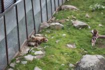 IMG_5326_новый размер