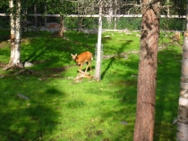 IMG_7835_новый размер