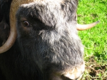 IMG_7844_новый размер